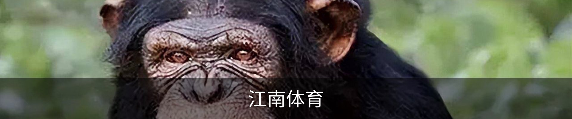 江南体育（JIANGNAN)官方网站
